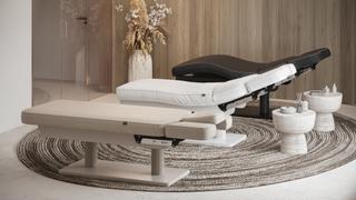 Кушетка массажная GEMINI EVO