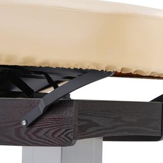 Электрический стационарный массажный стол Mizomed Union Salon мокко бежевый