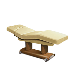 Кушетка массажная GEMYA EVO