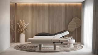 Кушетка массажная GEMINI EVO