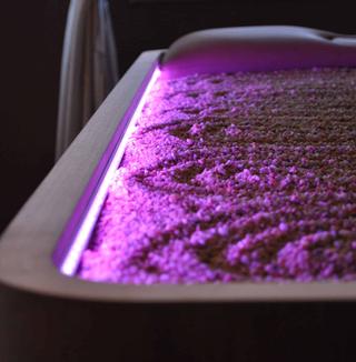 Кушетка SPA DREAM QUARTZ PACK