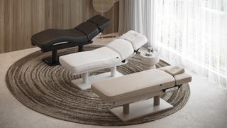 Кушетка массажная GEMINI EVO