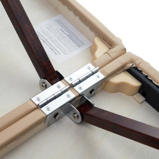 Массажный стол складной Master Del Ray Salon TT, бежевый